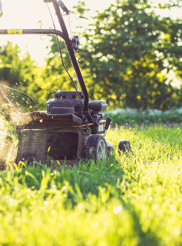 Mowing Grass